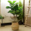 Straw Flower Pot 8