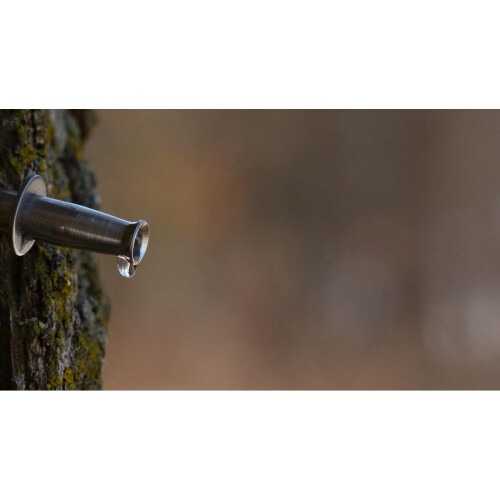 Liberty Rostfritt stlkranar - Maple Sap Pail Spout & Hook - Spiles for Making Maple Syrup (5) 1