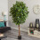 6.5 'ficus kunstigt træ 3