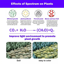 Full Spectrum Plants Grow Light Auto On/Off LED Lamp Sunlight Quantum 1 Skewers