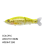 Slow Floating Bait Swimming Joint Swing Lure Bionics C 3