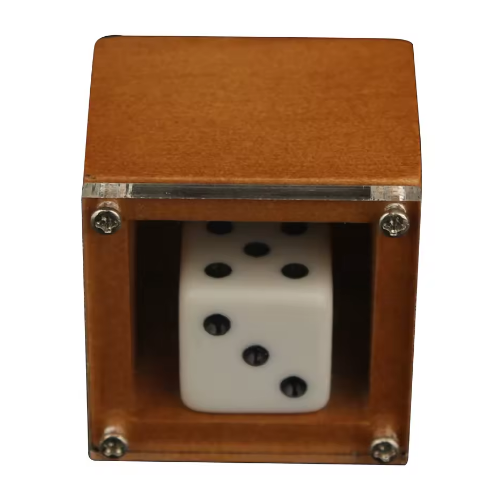 Magic Dice Magic Props Dice Trick Dot Number Change Dice Magic 1