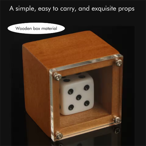 Magic Dice Magic Props Dice Trick Dot Number Change Dice Magic 2