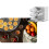 Berdsen BD-691 maddehydrator sort 11