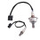 Upstream+Downstream Sauerstoff-O2-Sensor für 1,8 l 2007–2011 1