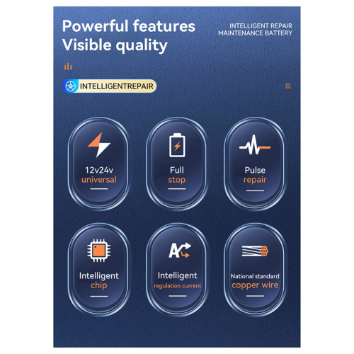High Power Full Automatic Car Battery Charger for Lead EU Plug 2