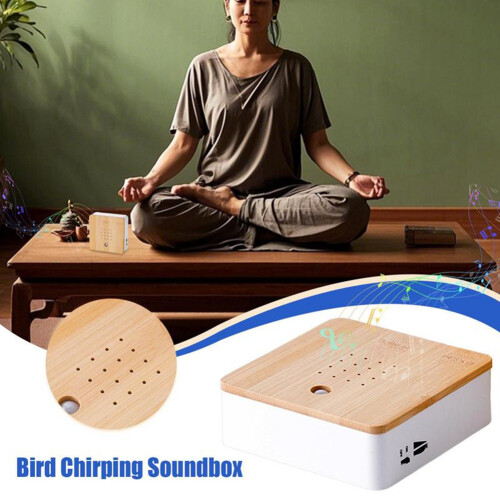 Bird Chirping Sound Box Motion Sensor Singing Bird Box 2