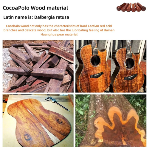 6pcs Cocobolo Guitar Bridge Pins for Enhanced String Instrument 2
