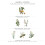 Panier des Sens - Hand Cream 75mL Jasmine 5