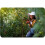 Tunnel de jardin 2x3m 6m2 Plonos 9