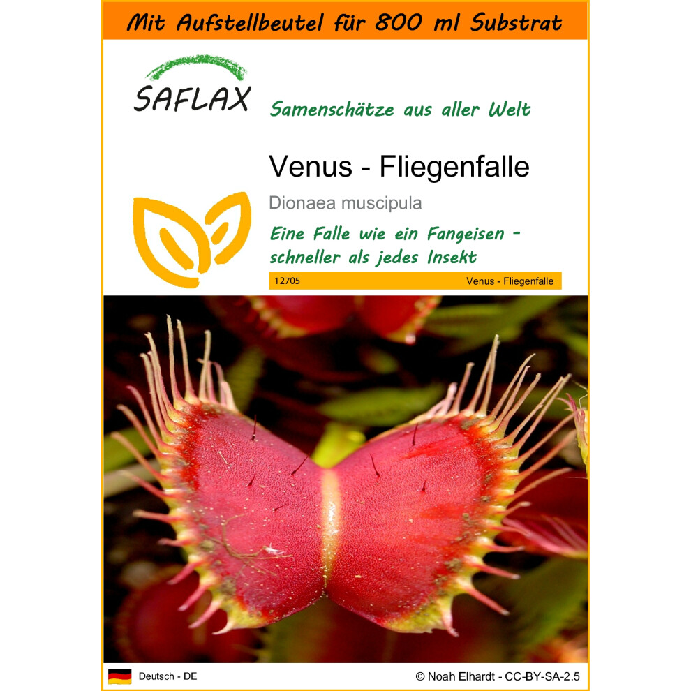 SAFLAX - Garden in the Bag - Venus Fly Trap - 10 seeds - With substrate in a fitting stand up bag - Dionaea muscipula