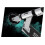 SOKE EVO street silver stuntstep 2