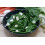 SAFLAX Garden to go - Schweizer Mangold - Beta - 150 Samen 7