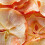 Nebula Nebula 450W Mini 5 Tray Food Dehydrator | Adjustable Temperature 9