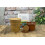 SAFLAX Garden to go - BIO - Rucola selvatica - 1500 semi - Diplotaxis 2