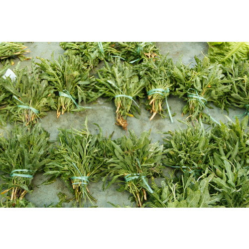 SAFLAX Garden to go - BIO - Rucola selvatica - 1500 semi - Diplotaxis 2