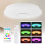 Full Color Ceiling Light RGB Dimmable Bluetooth Music Speaker Remote 1
