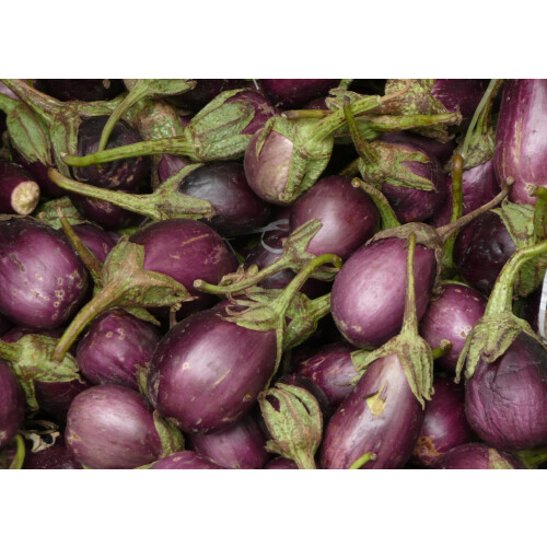 SAFLAX  - Eierbaum - Solanum - 20 Samen 1