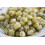 SAFLAX Geschenk Set - Basilikum Genovese - Ocimum - 800 Samen 7