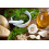 SAFLAX Geschenk Set - Basilikum Genovese - Ocimum - 800 Samen 5