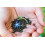 SAFLAX Geschenk Set - Borretsch - Borago - 40 Samen 4