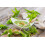 SAFLAX Geschenk Set - Brennnessel - Urtica - 2000 Samen 6