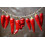 SAFLAX Geschenk Set - Chili - Barak - Capsicum - 15 Samen 5