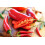 SAFLAX Geschenk Set - Chili - Barak - Capsicum - 15 Samen 8