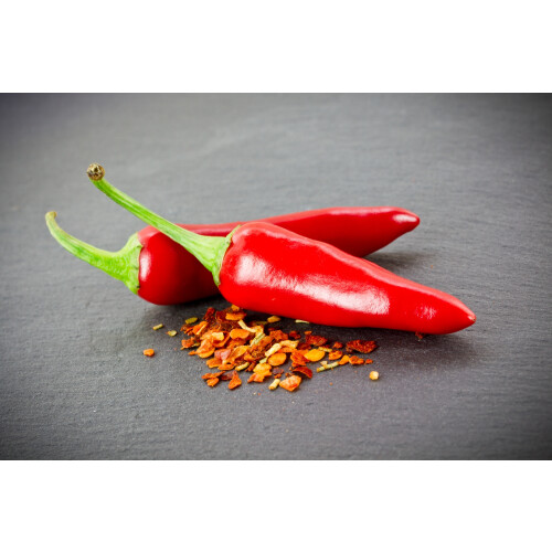 SAFLAX Geschenk Set - Chili - Barak - Capsicum - 15 Samen 2