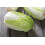 SAFLAX Geschenk Set - Chinakohl - Granat - Brassica - 40 Samen 5