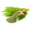 SAFLAX Geschenk Set - Dill - Anethum - 700 Samen 5