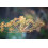 SAFLAX Geschenk Set - Dill - Anethum - 700 Samen 6