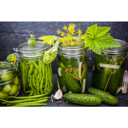 SAFLAX Geschenk Set - Gurke - Vorgebirgstraube - Cucumis - 15 Samen 2