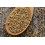 SAFLAX Geschenk Set - Koriander - Coriandrum - 150 Samen 7