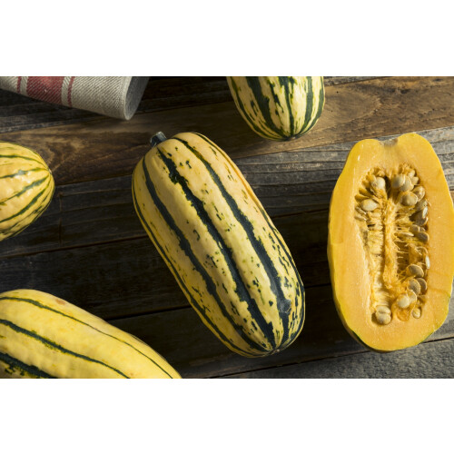 SAFLAX Geschenk Set - Kürbis - Delicata - Cucurbita - 6 Samen 2
