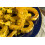 SAFLAX Geschenk Set - Kürbis - Delicata - Cucurbita - 6 Samen 5