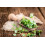 SAFLAX Geschenk Set - Oregano - Origanum - 1500 Samen 5