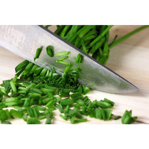 SAFLAX Geschenk Set - Schnittlauch - Allium - 250 Samen 2