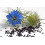 SAFLAX Geschenk Set - Schwarzkümmel - Nigella - 300 Samen 6