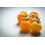 SAFLAX Geschenk Set - Tomate - Golden Queen - Solanum - 15 Samen 8