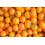 SAFLAX Geschenk Set - Tomate - Golden Queen - Solanum - 15 Samen 3