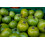 SAFLAX Geschenk Set - Tomate - Green Zebra - Solanum - 10 Samen 4