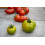 SAFLAX Geschenk Set - Tomate - Green Zebra - Solanum - 10 Samen 7