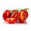 SAFLAX Geschenk Set - Tomate - Roma - Solanum - 15 Samen 5