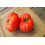 SAFLAX Geschenk Set - Tomate - Marmande - Solanum - 10 Samen 8