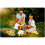 Havevogn 52L Humberg 4870 14