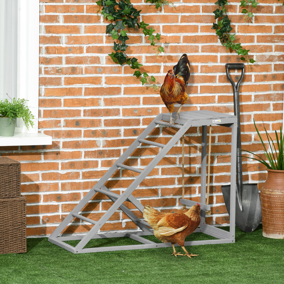B&Q - Chicken Coop Toy With SwingLadderPlatform For 2 ChickensHensGrey - Image 4