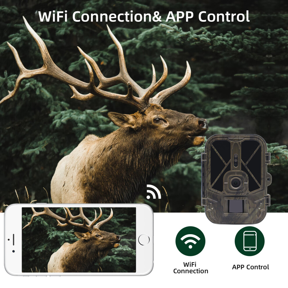 Wireless Surveillance Trail Camera 4K WiFi Wireless Hunting Camera PIR Sensor Night Vision Photo Traps