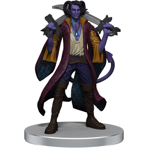 Wizkids Kritisk roll: The Mighty Nein Boxed Set 2