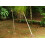 SAFLAX Geschenk Set - Flaschenbaum - Beaucarnea - 10 Samen 7